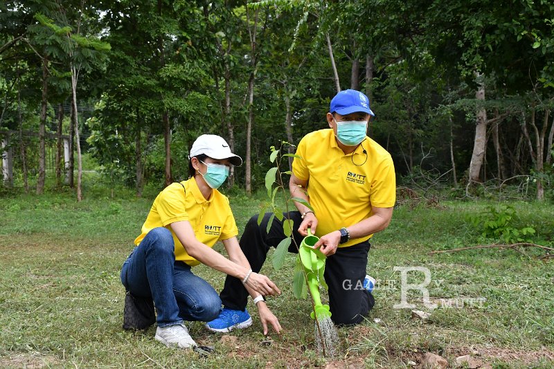 20210526-Tree planting dayt-081.JPG